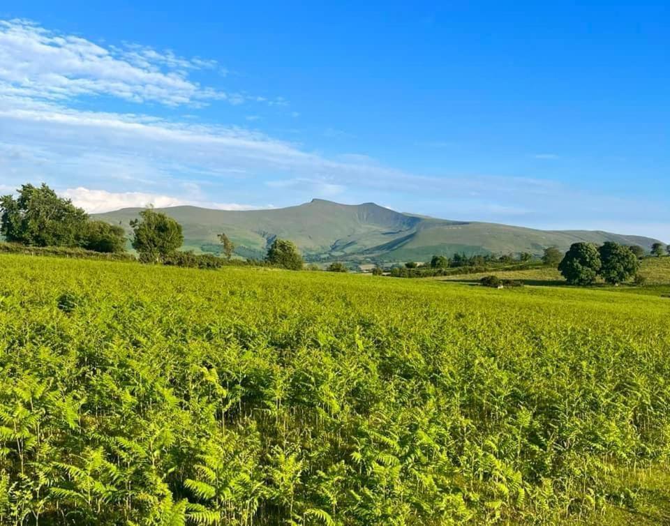 Little Cottage Of The Beacons Brecon Zewnętrze zdjęcie