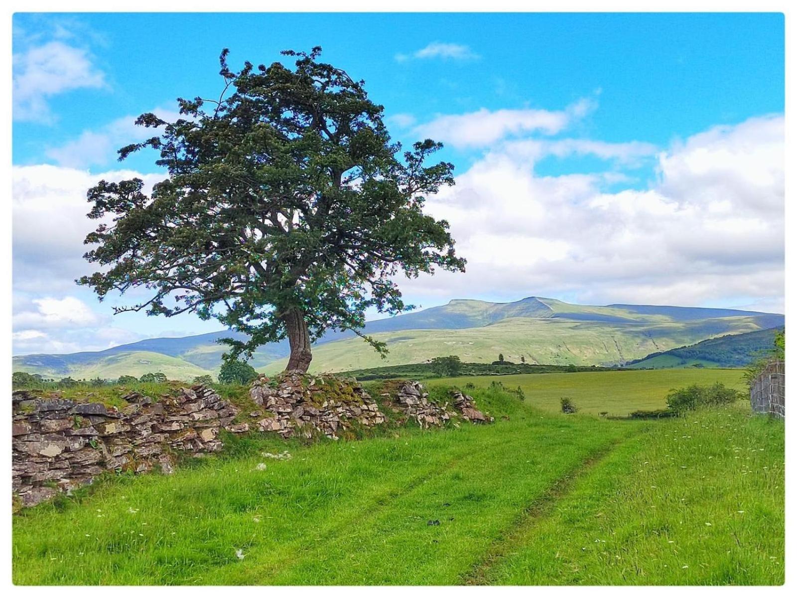 Little Cottage Of The Beacons Brecon Zewnętrze zdjęcie